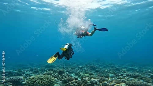 Wallpaper Mural Two Divers Explore Vibrant Coral Reef Underwater Adventure. Torontodigital.ca