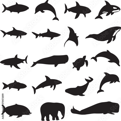 PrintCollection of black silhouettes of marine animals and an elephant