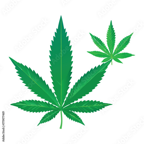 Stylized cannabis leaf and two buds cannabis plant graphic art image