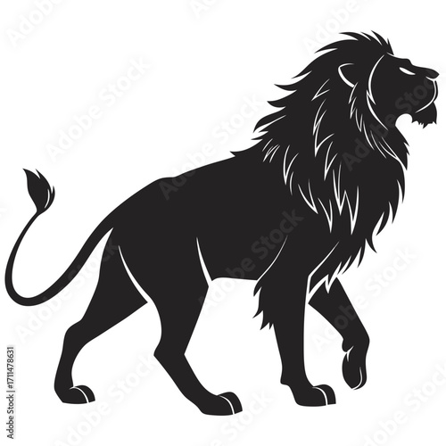 lion vector illustration