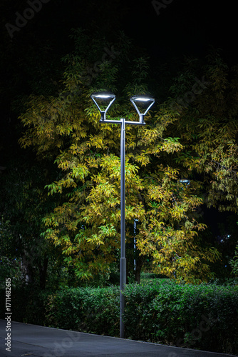 City night lamp on a background of yellow trees and green bushes