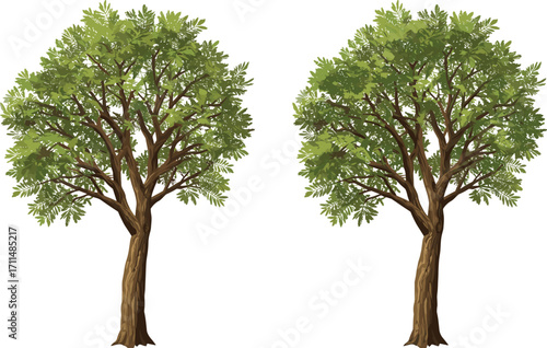 Realistic green trees illustration, lush foliage, brown trunks, nature landscape design, botanical drawing, eco-friendly concept, isolated white background, environmental conservation art