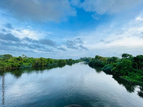 lake in the forest