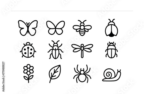 Collection of insect and nature icons: butterfly, bee, ladybug, dragonfly, spider, snail