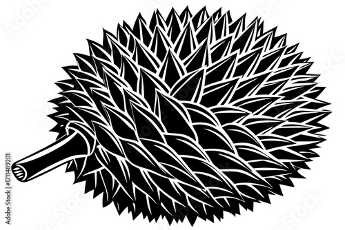 black and white durian fruit