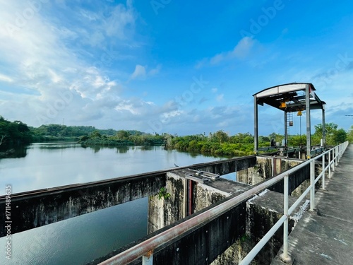 bridge over the river