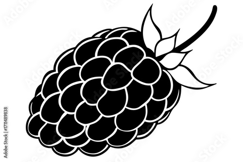 vector illustration of a blackberry