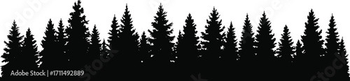 Silhouette of pine trees forest, natural woodland landscape, evergreen coniferous trees, outdoor nature background, wilderness, environment, park, wilderness conservation.