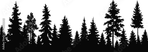Silhouette of pine forest trees, natural woodland landscape, evergreen conifers, black and white background, outdoor wilderness, vector illustration design.