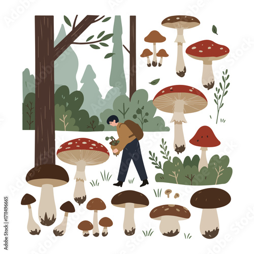 Forest floor Illustration of a man walking past various mushrooms and trees in a forest