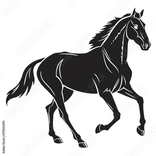 horse vector illustration