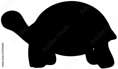 silhouette of a turtle vector 