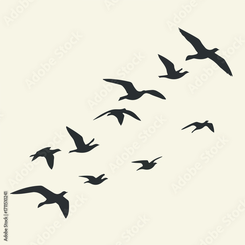Silhouettes of birds gracefully soaring against a light background, creating a sense of freedom