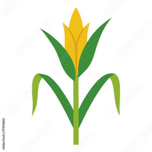 Stylized yellow corn stalk with green leaves on transparent background
