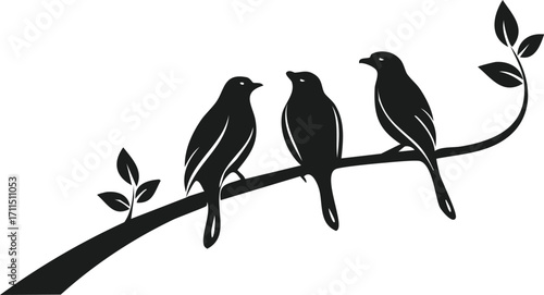 Silhouette of Birds Sitting on Tree Branch