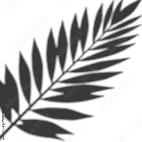 Stylized frond illustration in shades of gray, featuring a series of slender, rounded leaves