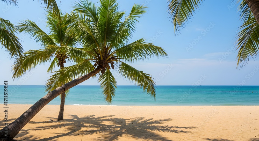 Obraz premium Tropical beach palm trees