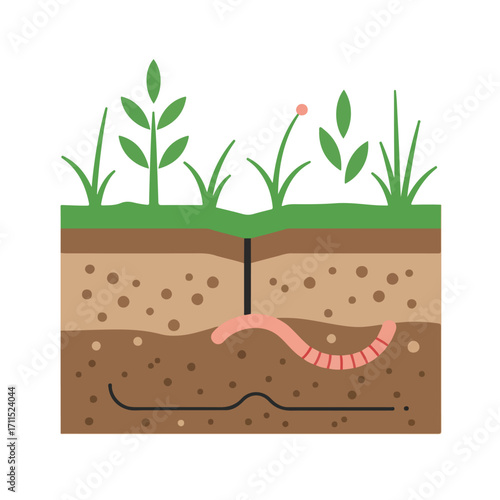 An illustration depicting soil layers, with green plants and an earthworm underground