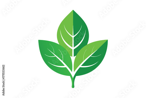 Green leaves design representing freshness and nature in a simple, modern style