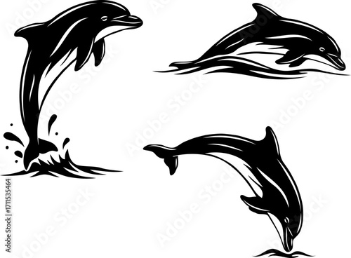 Dolphins leaping out of the water. Black and White illustrations