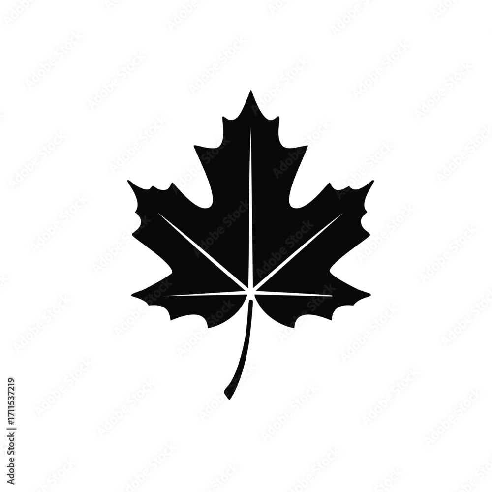 Fototapeta premium Black Silhouette of a Maple Leaf autumn fall