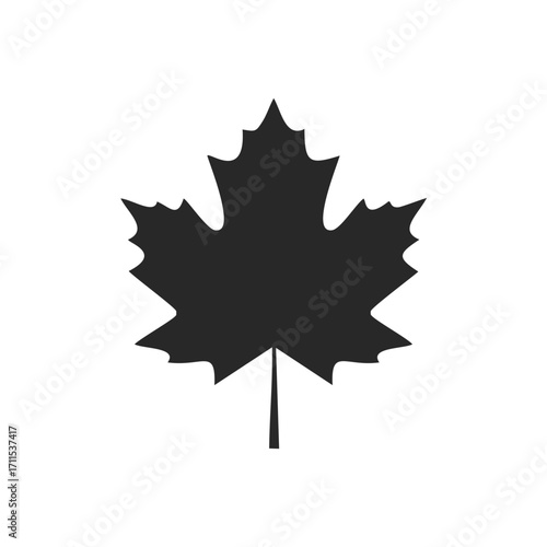 Black silhouette of a maple leaf on white Keywords: maple leaf, autumn, fall, nature, symbol