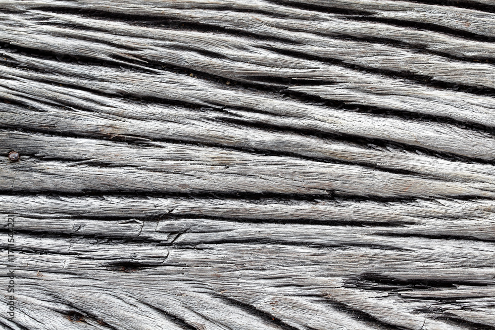Fototapeta premium Textured Surface of Weathered Gray Wood with Unique Grain Patterns