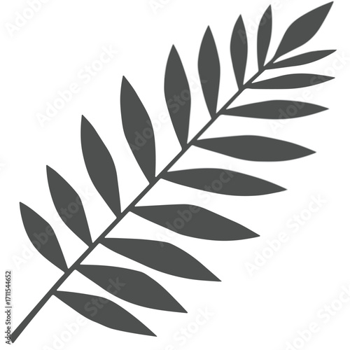 Illustration of gray palm frond with multiple oblong leaves arranged along its length on white