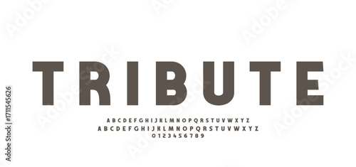 Modern Bold Font. Sans Serif Font. Regular Uppercase Lowercase Typography urban style alphabet fonts for fashion, sport, technology, digital, movie, logo design, vector illustration