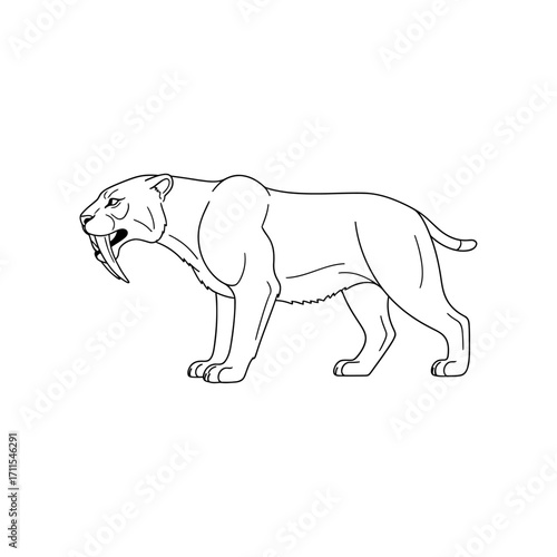 Illustration of a sabertoothed tiger isolated on white background, an extinct prehistoric predator