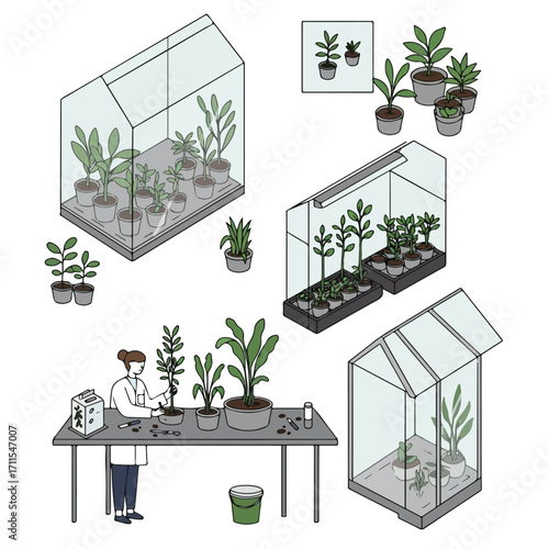 Isometric illustration of a laboratory with greenhouses and a scientist cultivating plants
