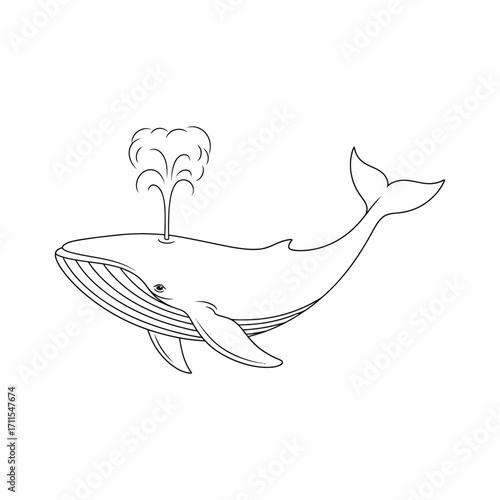 Illustration of a whale spouting water isolated on white background simple and elegant design