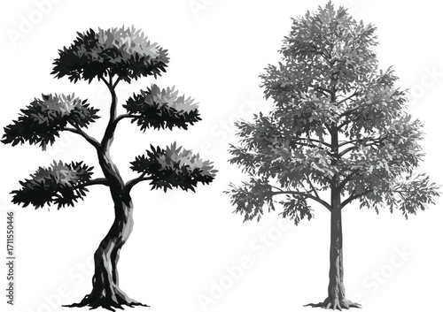 Grayscale vector tree illustration with twisted and straight trunks, stylized foliage, bonsai-inspired and natural canopy design for landscape art themes