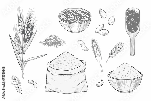 Collection of hand drawn wheat grains and products in black and white