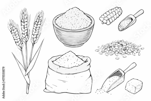 Collection of grains and flour in a hand drawn sketch style