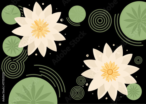 Two elegant white water lilies on a black background with lily pads and ripples