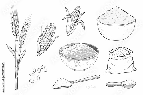 Hand drawn illustration of wheat corn beans and flour in bowls and sacks