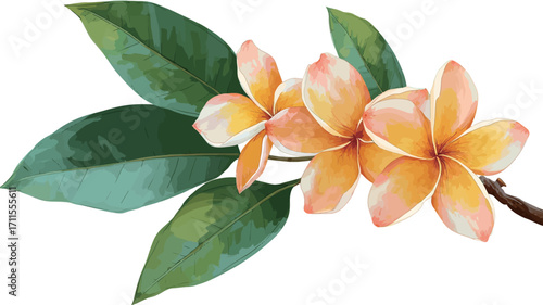 Close-up image of three Plumeria flowers (Frangipani) and their leaves. The flowers are predominantly yellow and orange with subtle pink shading on the edges of the petals.  