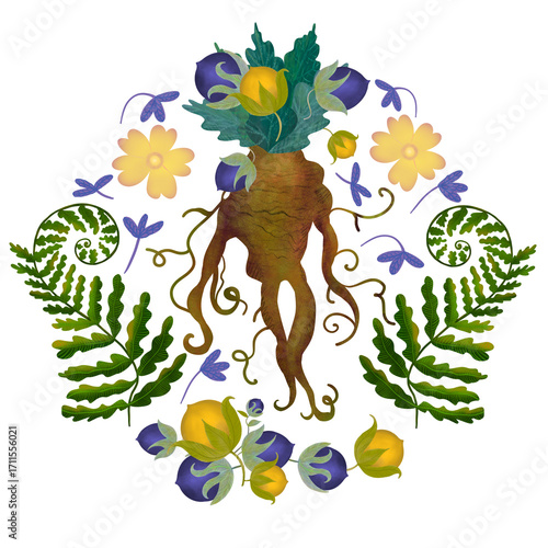 Mandrake root with colored pencils. A magical plant. It is used for witchcraft, preparation of poisons and medicines. It has a shape similar to a human body