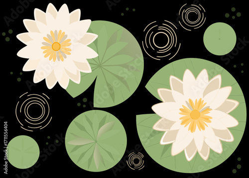Stylized white water lilies on a dark background with lily pads and ripples