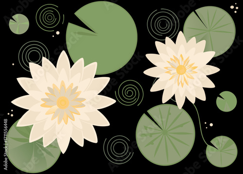 Two white water lilies with green lily pads on a black background
