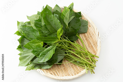 Murais de parede 笊に乗ったモロヘイヤ　白バック