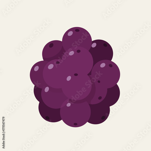Illustration of a plump bunch of dark purple berries, grouped on a cream background