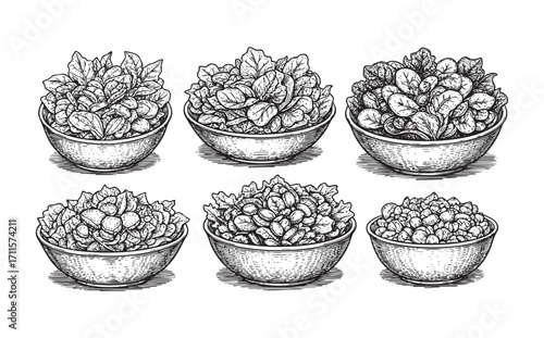 set of bowl salad illustration vector style