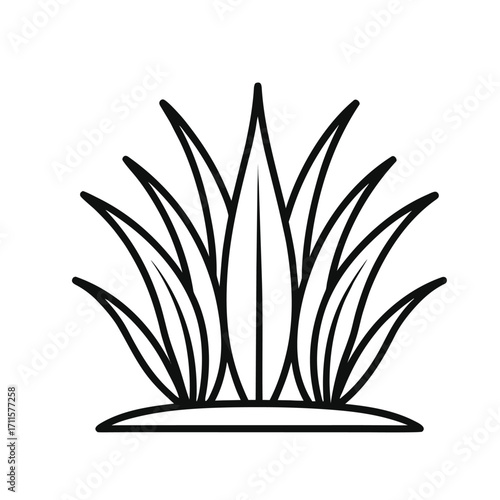 crown of thorns with leaves on white and black backgrounds