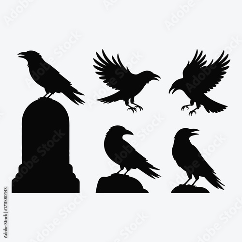 Collection of black crow silhouettes in various poses on white background