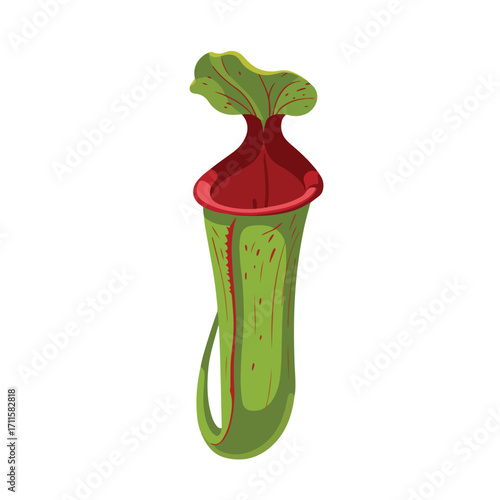 Isolated illustration of a stylized cartoon-like pitcher plant on a clean white backdrop