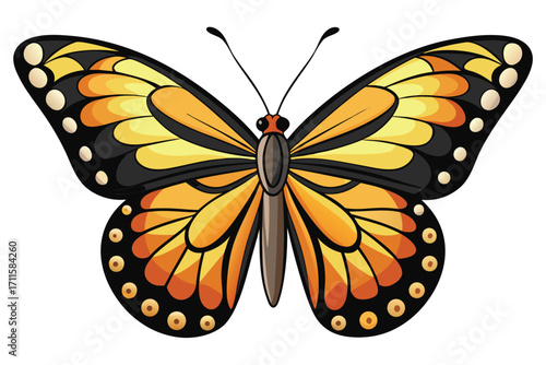 Bright orange and black butterfly with detailed wings and patterns in a natural setting during daylight