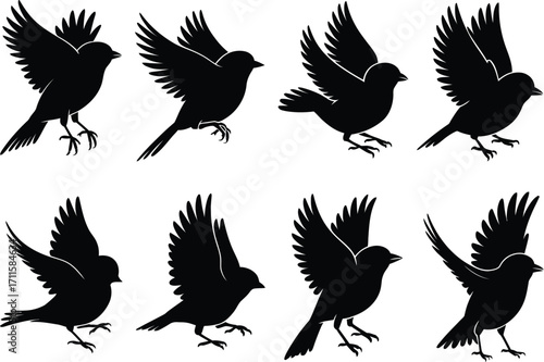 Silhouettes of a small bird in various flight poses