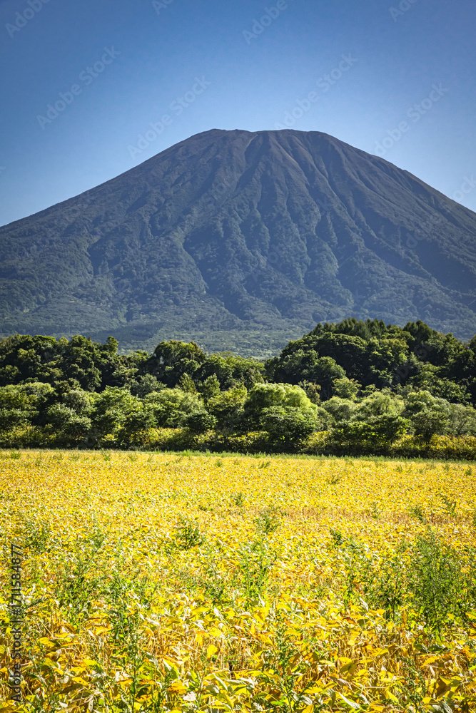 Fototapeta premium 北海道の倶知安町に広がる美しい羊蹄山と畑の風景